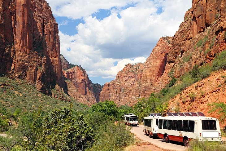 All That You Can Enjoy in the Zion National Park